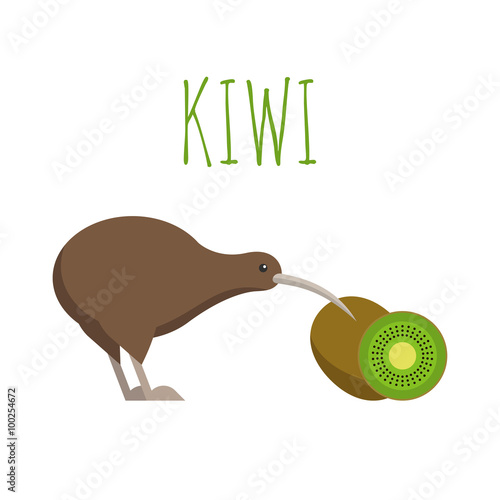 Vector illustration of kiwi bird and kiwi fruit