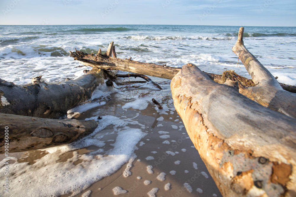 wilder strand StockFoto Adobe Stock