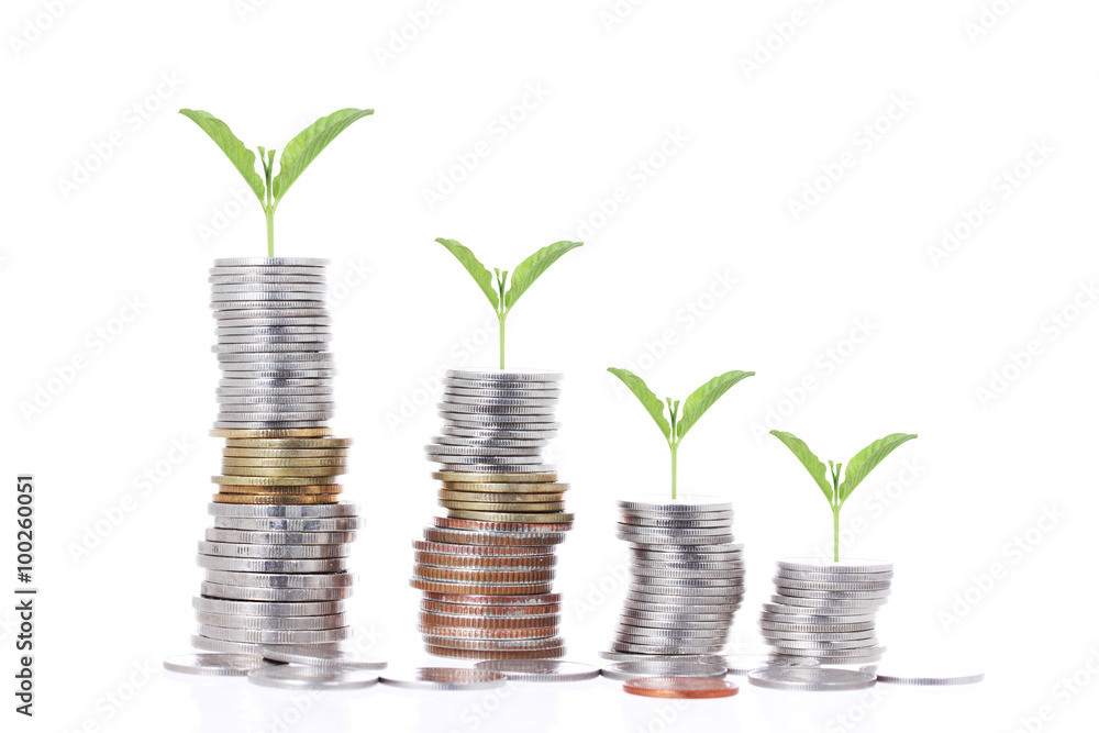 Plant growing out of coins , isolated on white background Plant growing out of coins , isolated on white background