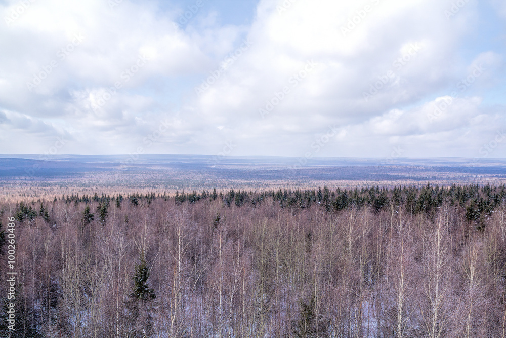 Winter in the forest. View from mount Winter in the forest. View from mount