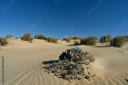 Sand dunes on a beach Mediterranean 