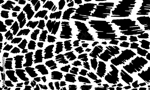 Black and white animal skin texture