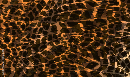 Colorful animal skin texture