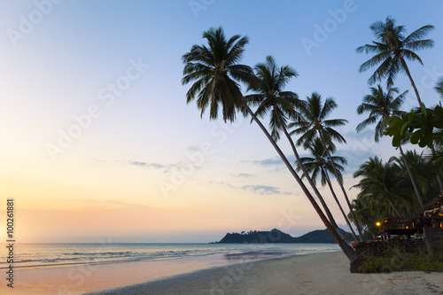 Beautiful tropical beach landscape  palm trees  sea  resort and