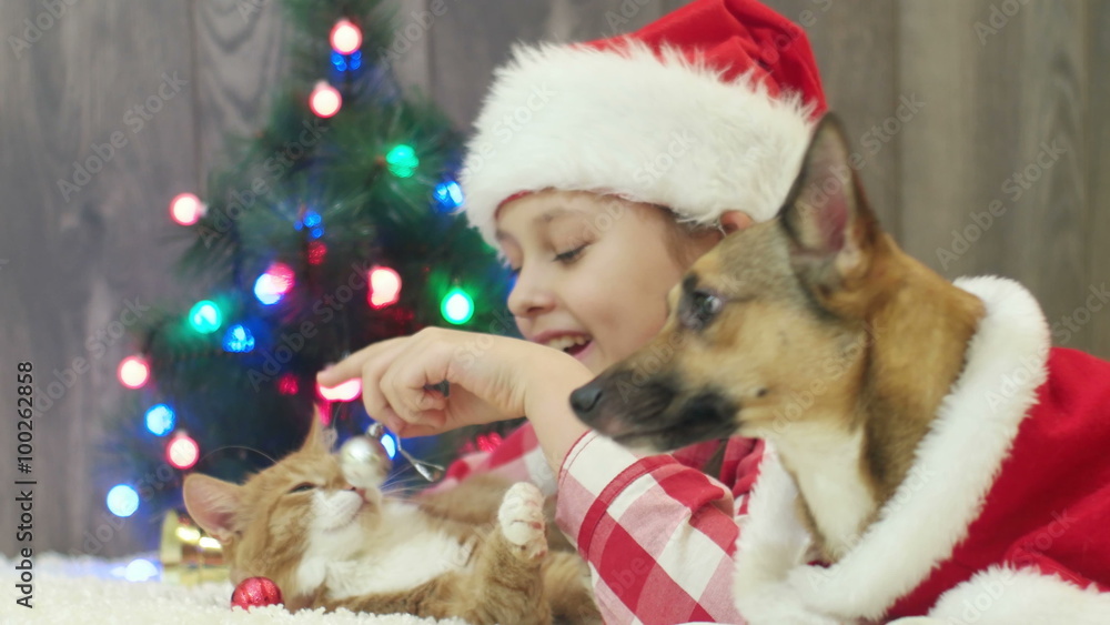 Christmas child playing with a cat Christmas child playing with a cat