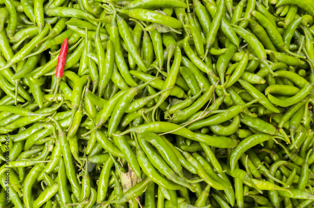 Red chilli among all others green Red chilli among all others green