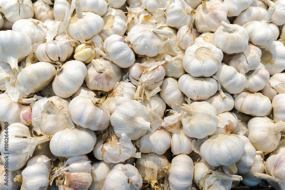 Garlics at the market Garlics at the market