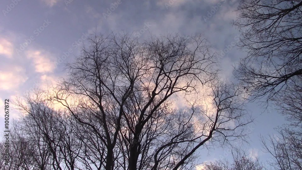 early morning passing clouds with natural sounds early morning passing clouds with natural sounds