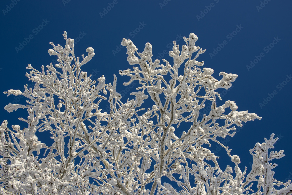 Winter pattern Winter pattern