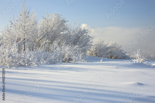 beautiful snowy winter landscape © Artem