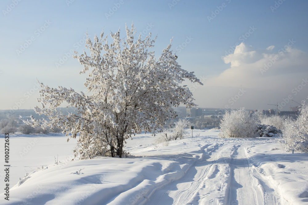 Fototapeta premium beautiful snowy winter landscape