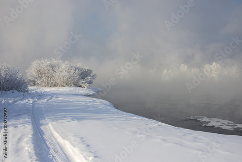 beautiful snowy winter landscape