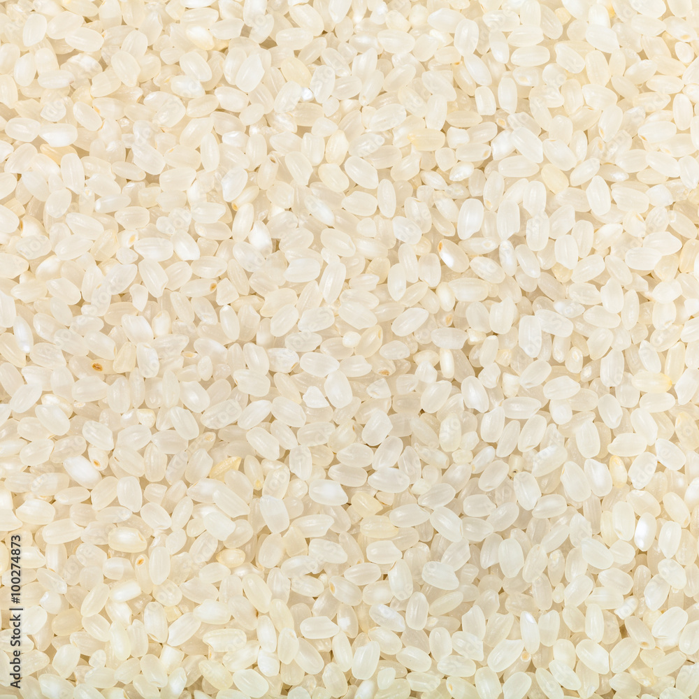 white short-grain Italica rice white short-grain Italica rice