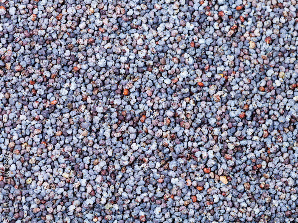 food black poppy seeds food black poppy seeds