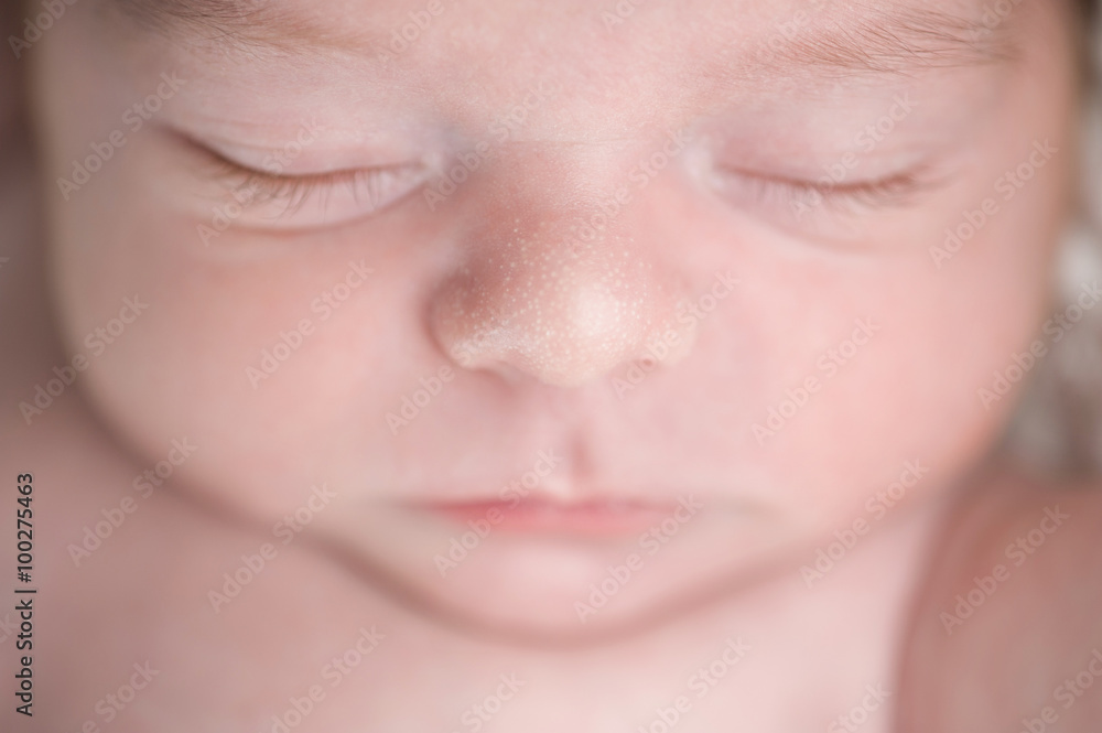 Naklejka premium Newborn Baby Nose
