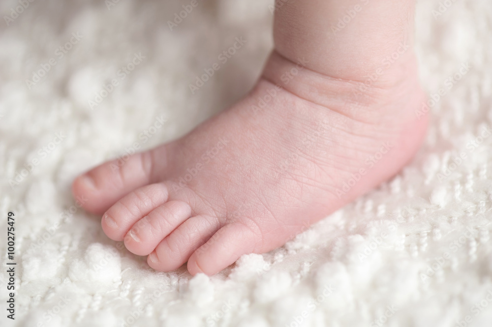 Close-up Shot of a Newborn Baby Boy's Foot Close-up Shot of a Newborn Baby Boy's Foot