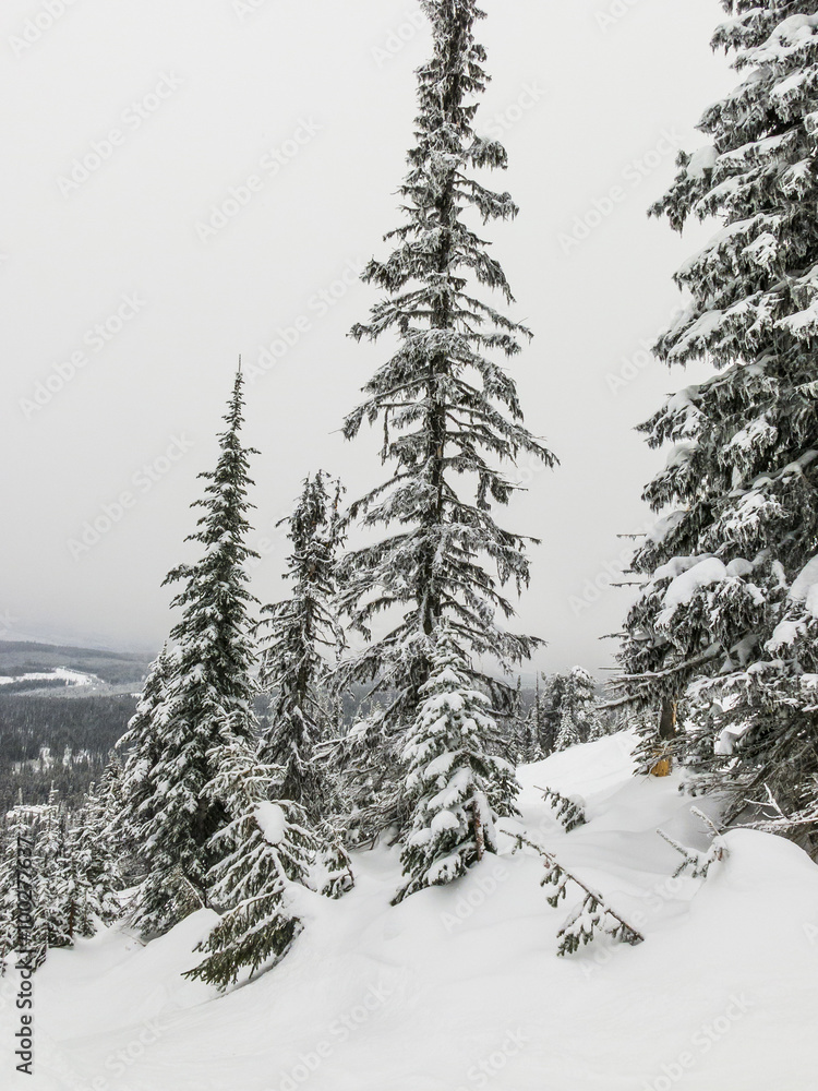 Naklejka premium Ośrodek narciarski pokryte śniegiem