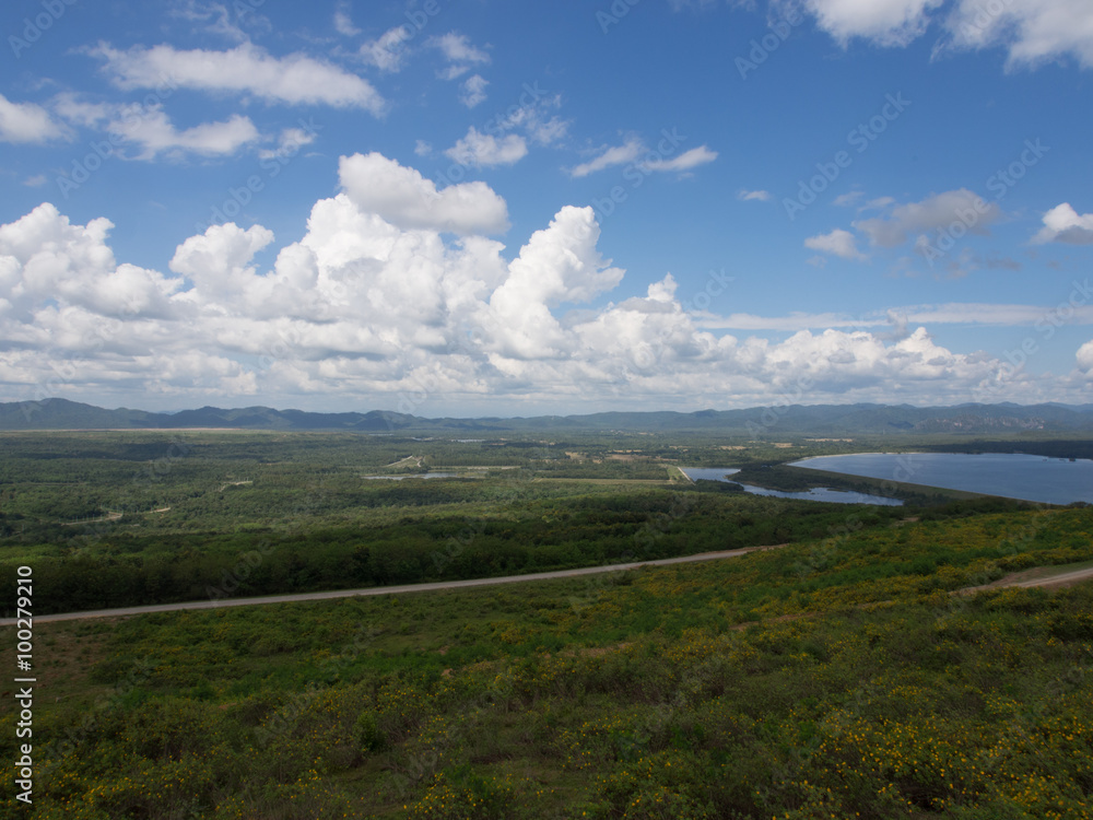Fototapeta premium The meadow wide sky