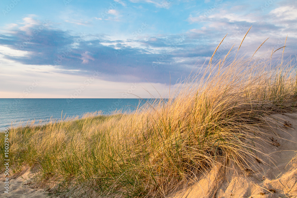 Fototapeta premium Beach Background. Sand dune and dune grass with a blue sky and blue water horizon in the background.