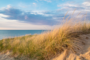 Keuken achterwand Duingras Zandduin met helmgras aan zee  © ehrlif