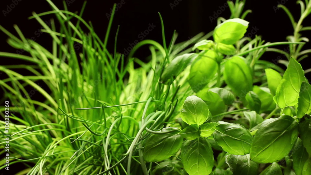 Fresh aromatic herbs(basil,rosemary,chives)isolated on black background, rotating Fresh aromatic herbs(basil,rosemary,chives)isolated on black background, rotating