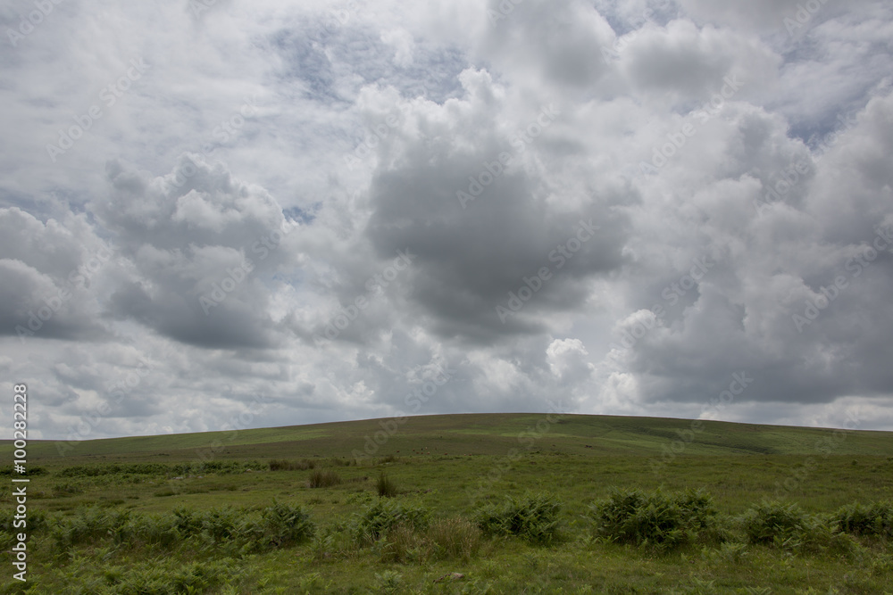 Dartmoor - Devon - England Dartmoor - Devon - England