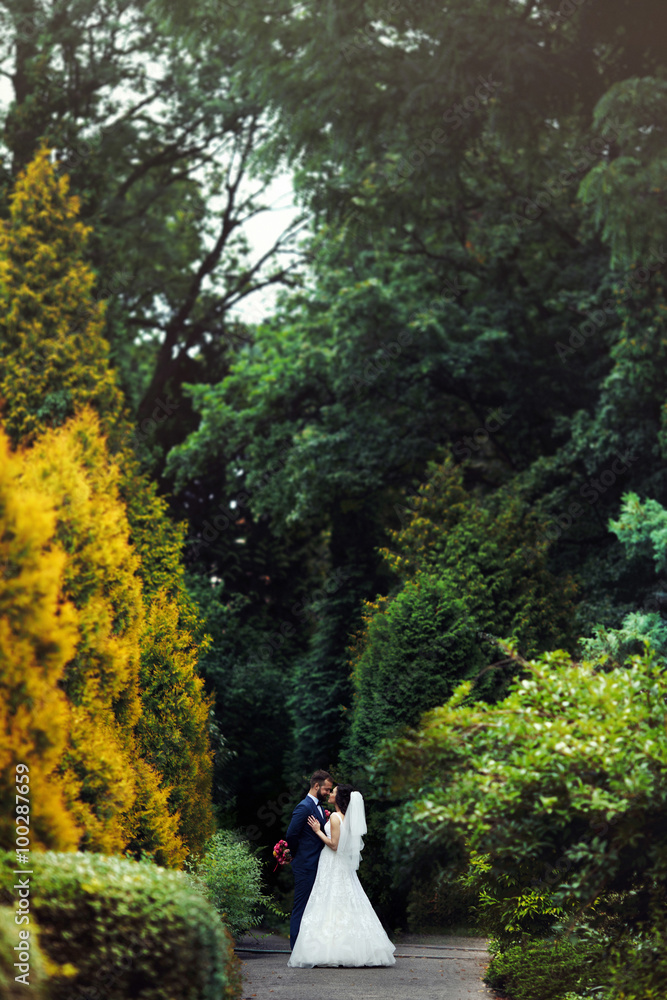 Obraz premium Romantic, sensual couple hugging in a park alley, surrounded by