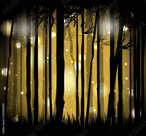 illustrazione vettoriale di foresta magica