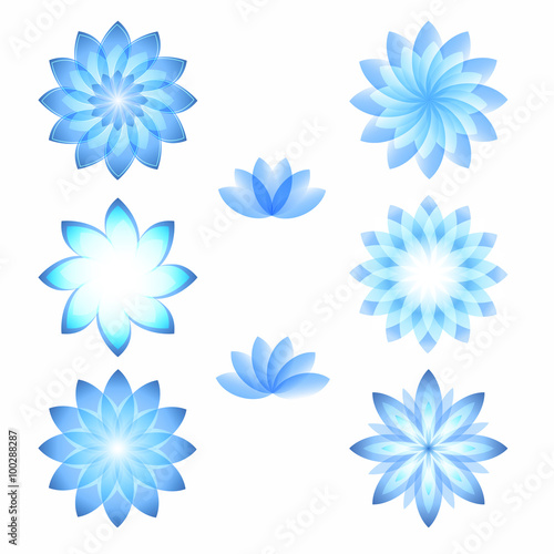 Blue flowers logo set of icons white background