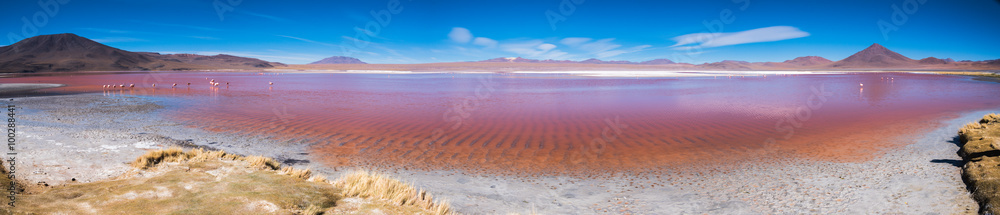 Fototapeta premium Panorama of Laguna Colorada