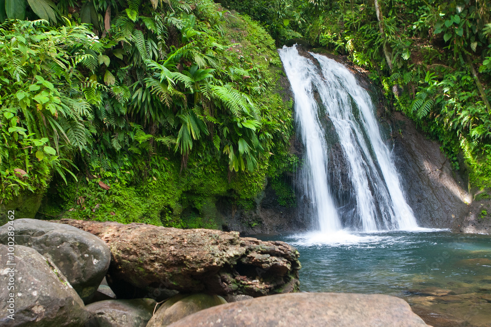 Fototapeta premium Beautiful waterfall on Guadeloupe island