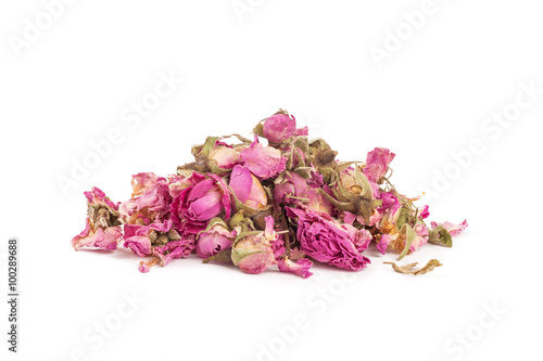 Tea rose flowers on a white background