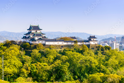 Wakayama, Japan Castle photo