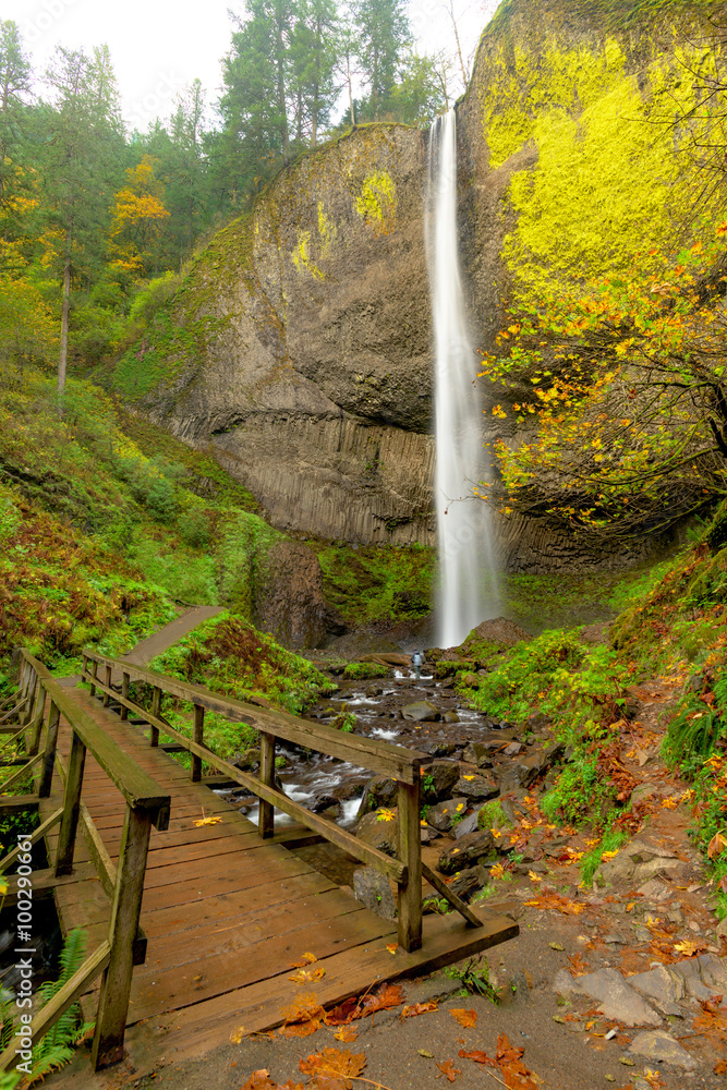 Fototapeta premium Bridge at the base of Latourell Falls Oregon