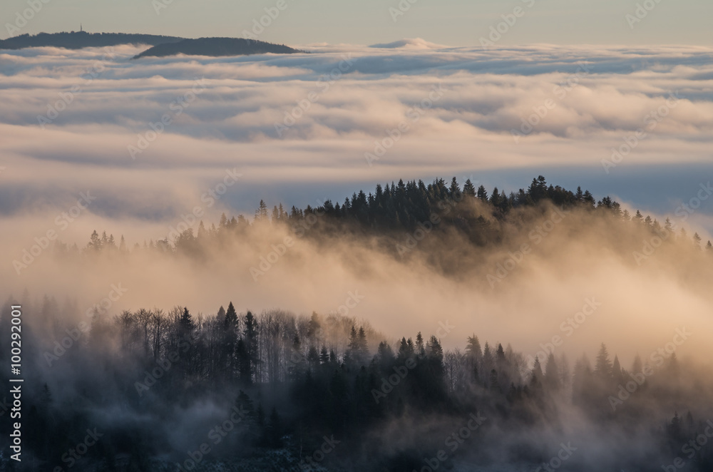 Carpathian mountains in the clouds, seen from Wysoka mountain in Pieniny, Poland