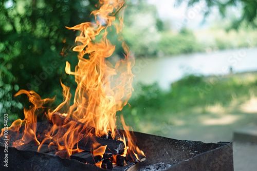 Fire, flames from wood ember for grill or bbq picnic, fume and firewood outdoor