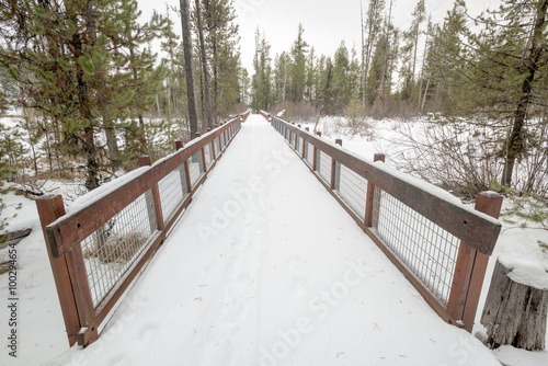 Wood bridge leads through forest in the winter with snow © knowlesgallery