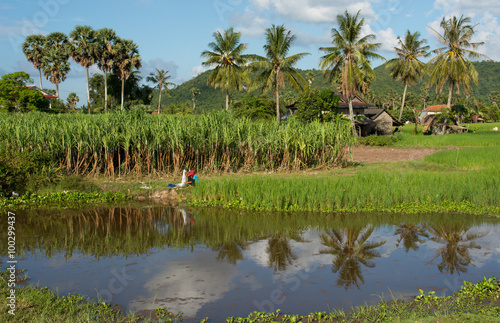 Fényképezés Man hand washing clothes in the lake, Battambang/Cambodia.
