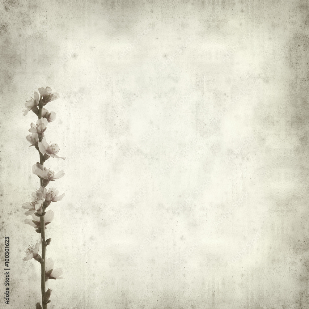textured old paper background textured old paper background