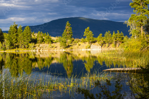 Reflections on Forested Mountain Lake