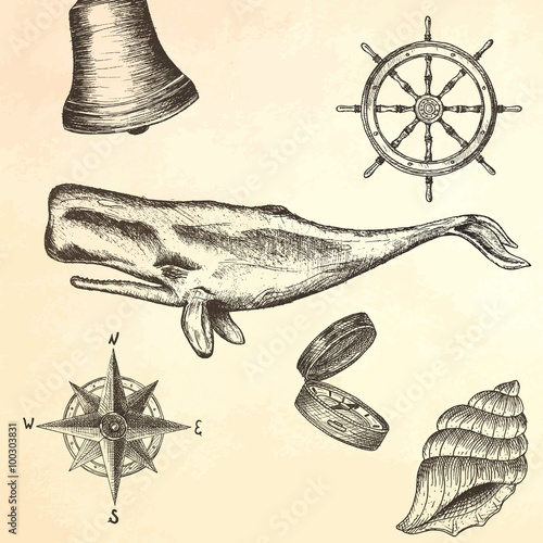 Engraving hand drawn whale. 