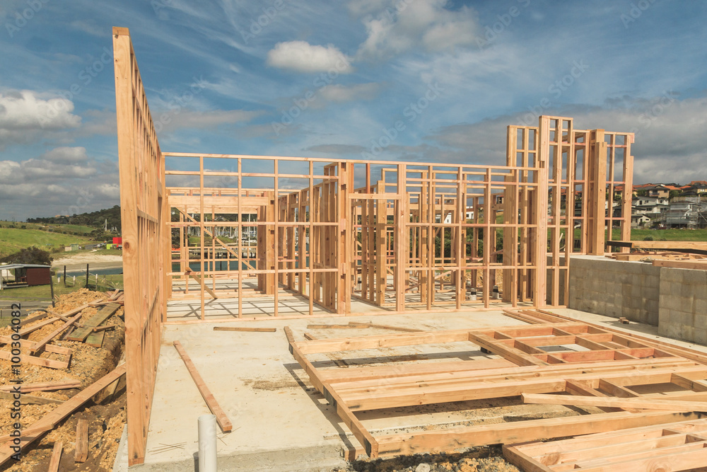 Fototapeta premium construction of houses in New Zealand