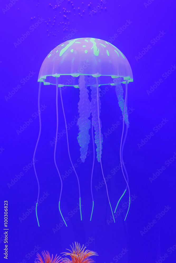 Naklejka premium Jellyfish