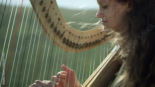 Outdoor Orchestra - Harp photo