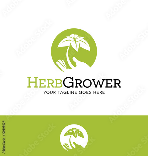 agriculture or gardening logo design Hand holding new plant 
