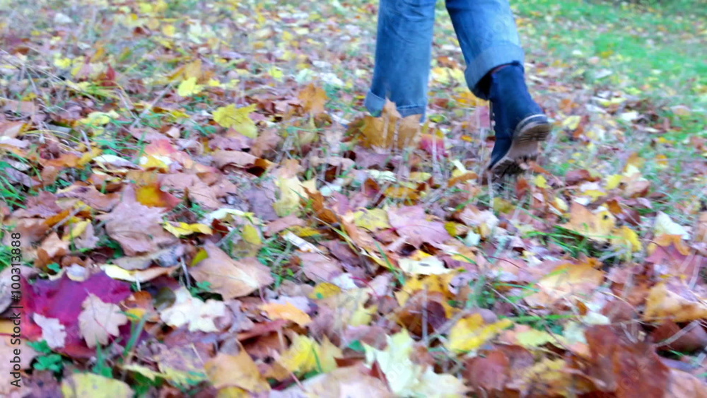 the woman goes on a grass and throws the fallen autumn leaves by feet the woman goes on a grass and throws the fallen autumn leaves by feet