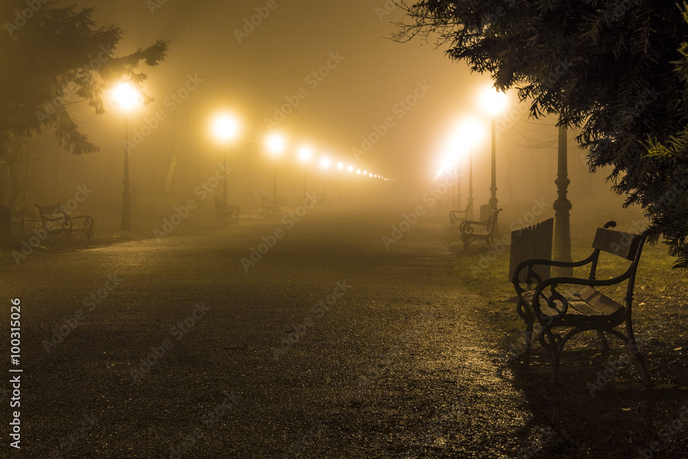 Foggy scene in a Maksimir park in Zagreb