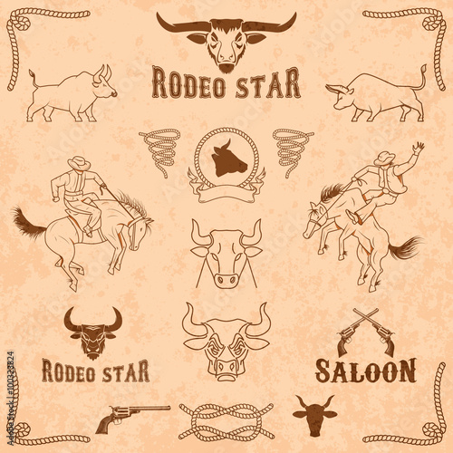 bulls and rodeo icons collection