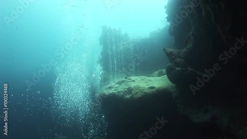 Wallpaper Mural Rising air bubbles under water. Underwater Coral Reef and Tropical Fish in Bahamas. Amazing, beautiful underwater world Bahamas and the life of its inhabitants, creatures and diving, travels.  Torontodigital.ca