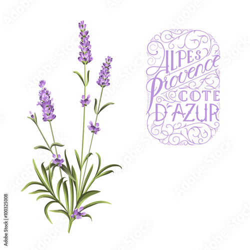 Lavender sign label.